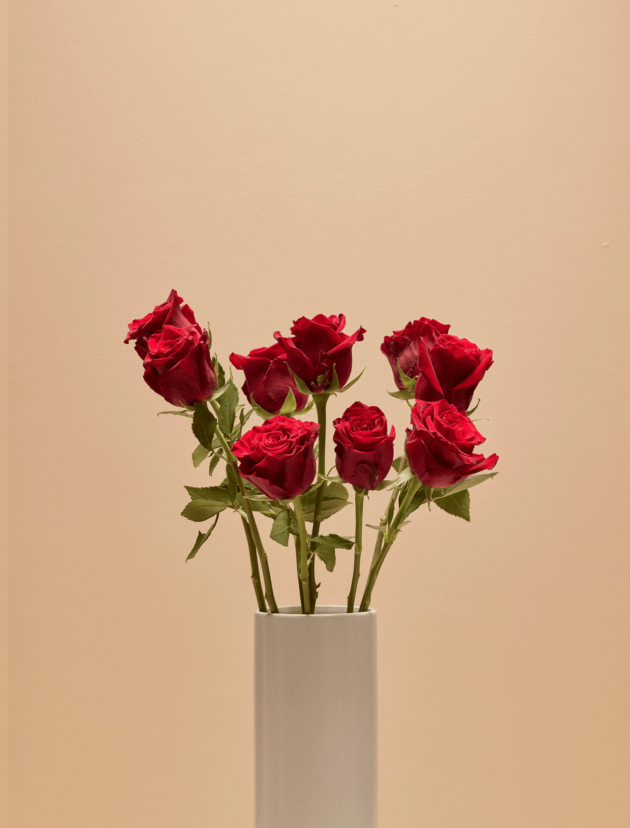 Roses