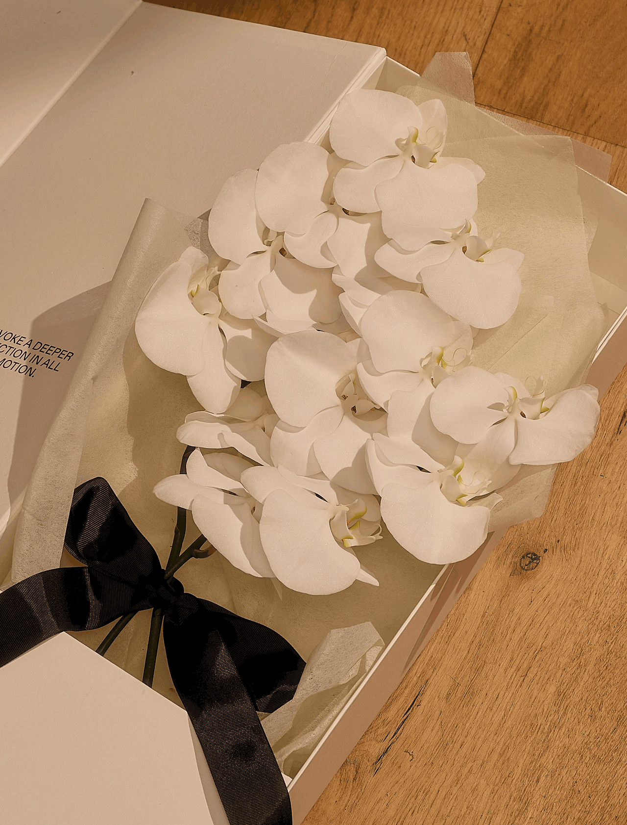 White Orchids